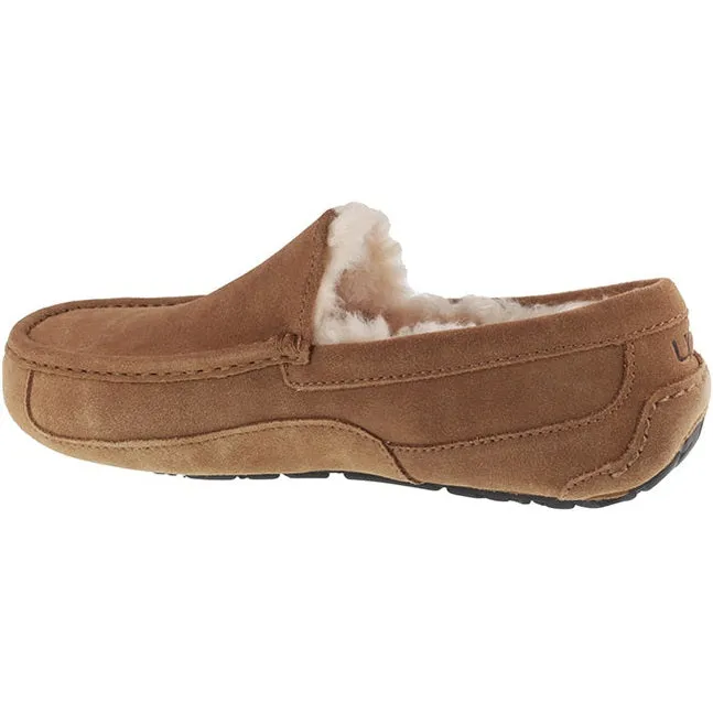 Ugg Boots Mens Ascot Chestnut