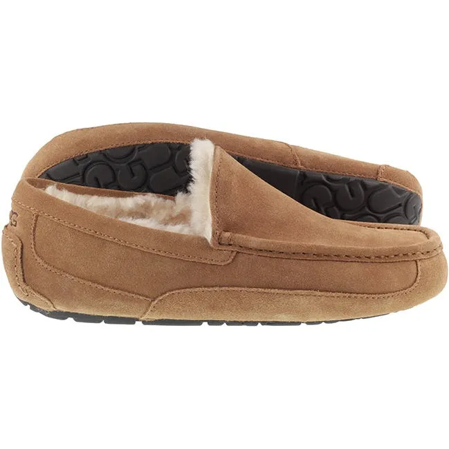 Ugg Boots Mens Ascot Chestnut